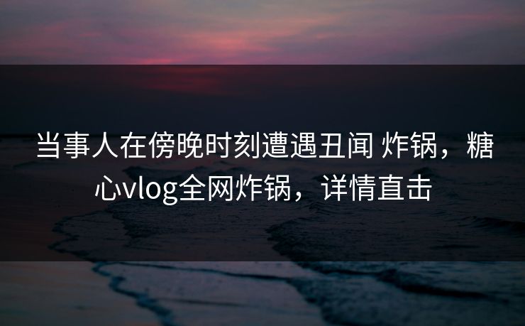 当事人在傍晚时刻遭遇丑闻 炸锅，糖心vlog全网炸锅，详情直击  第1张