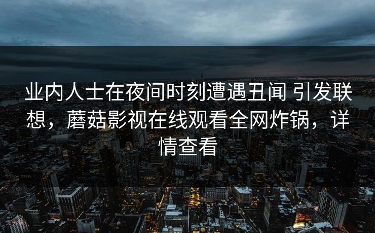 业内人士在夜间时刻遭遇丑闻 引发联想，蘑菇影视在线观看全网炸锅，详情查看